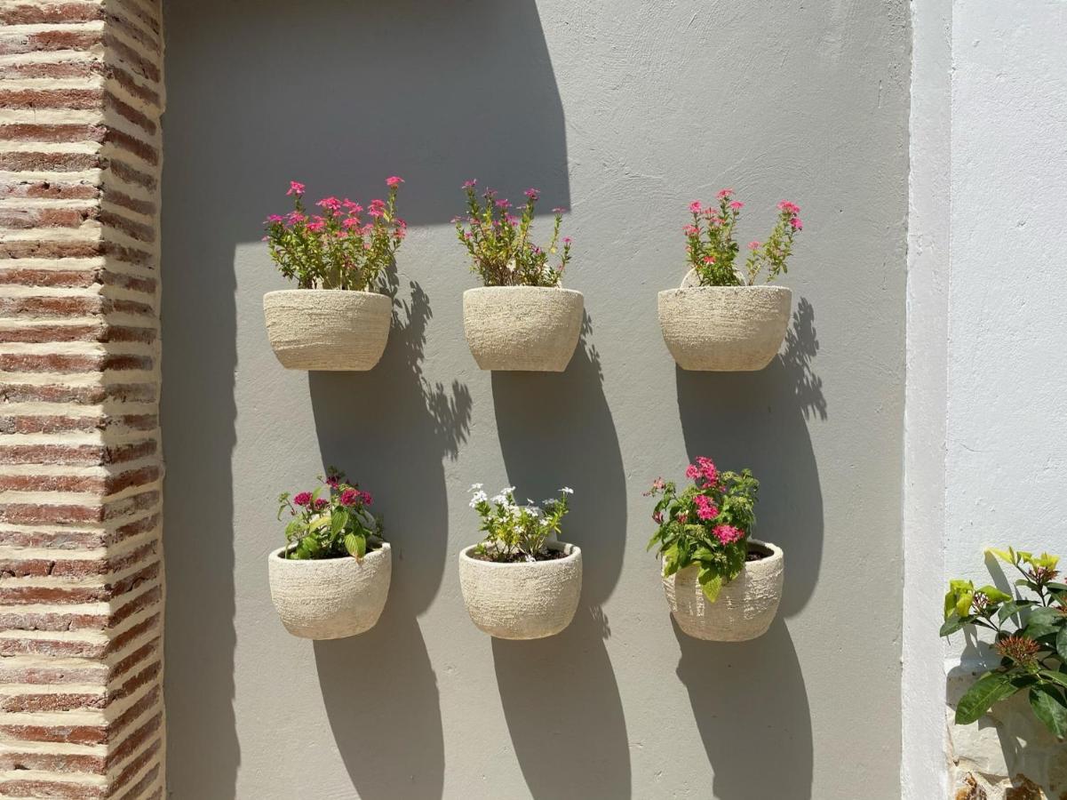 Casa Bixa Hotel Boutique - Mayores De 12 Anos - (Adults Only) Santa Fe de Antioquia Dış mekan fotoğraf